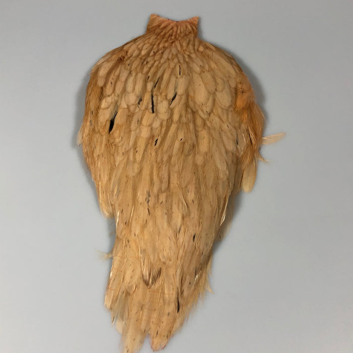 White dyed Salmon