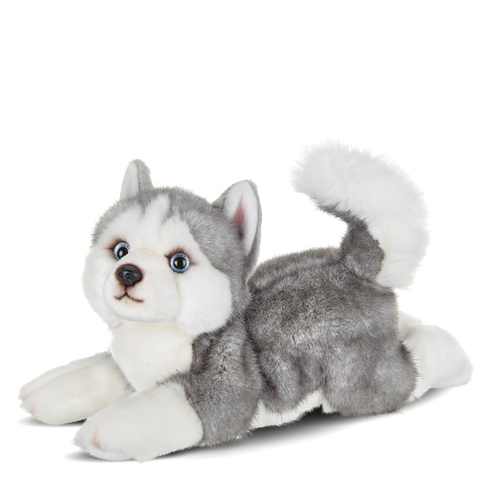 Bearington - Siberian Husky Plush Toy Stuffed Dog Plushie 519993