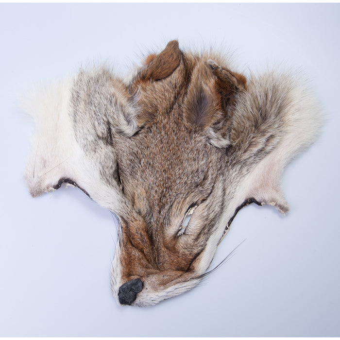 Coyote Face Mask