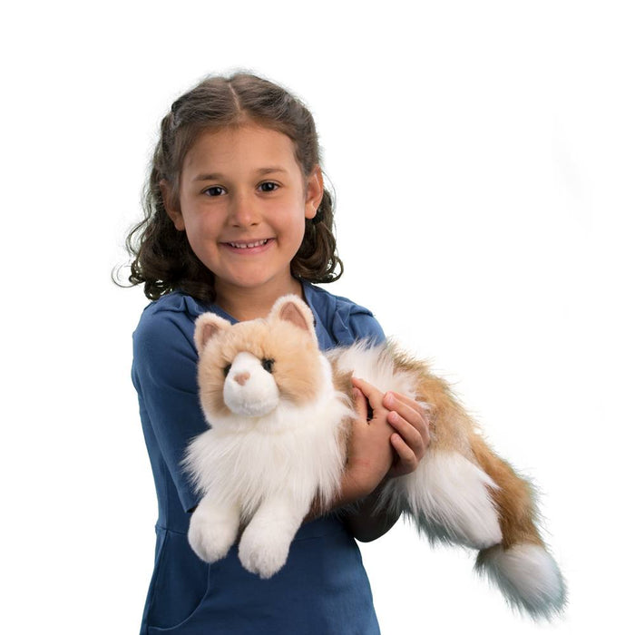 Douglas Cuddle Toys - Ragdoll Cat Kiki Plush Stuffed Plushie 284