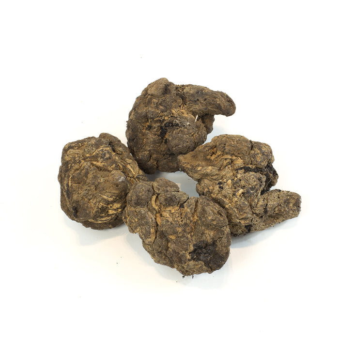 Drying Rehmannia Root L / Sheng Di (16oz)