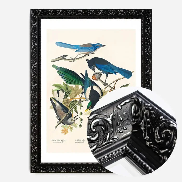 21x30cm | 8¼ x 11¾in / Black Ornate Frame