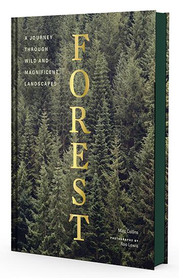 Forest - A Journey Through Wild and Magnificent Landscapes