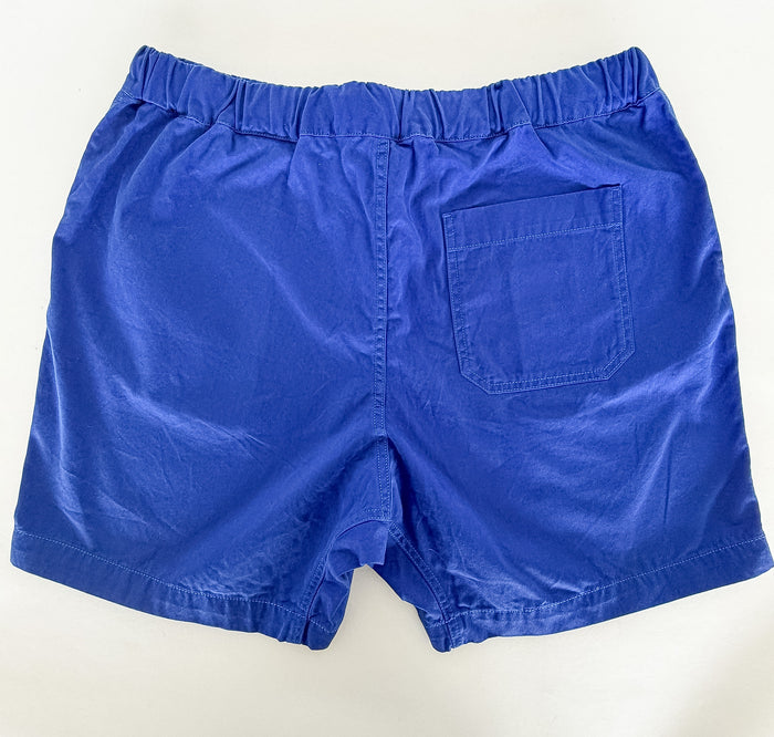 Albam Royal Blue Shorts