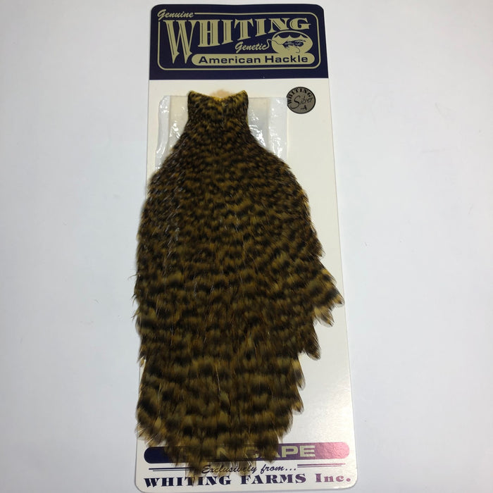 American Hen Cape - OLDER STOCK