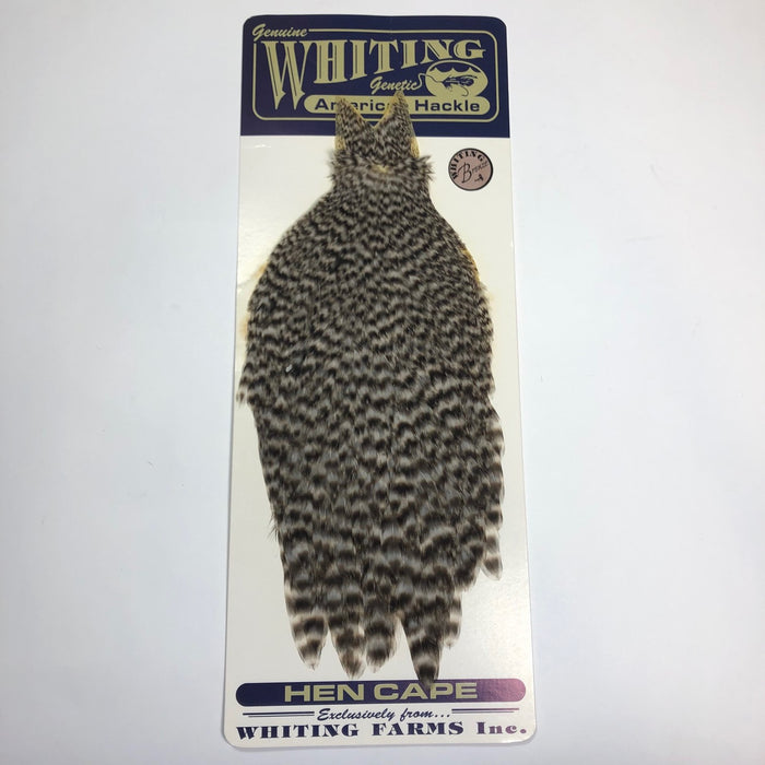 American Hen Cape - OLDER STOCK