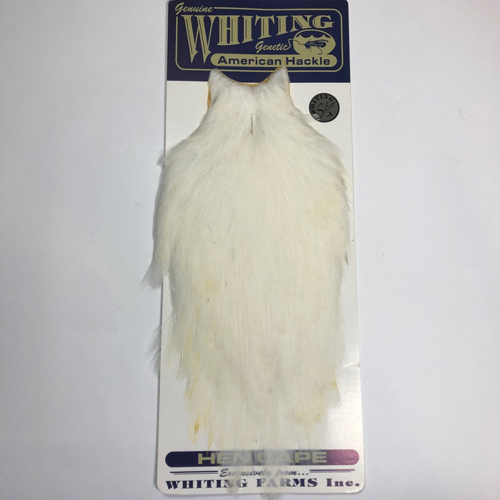 American Hen Cape - OLDER STOCK