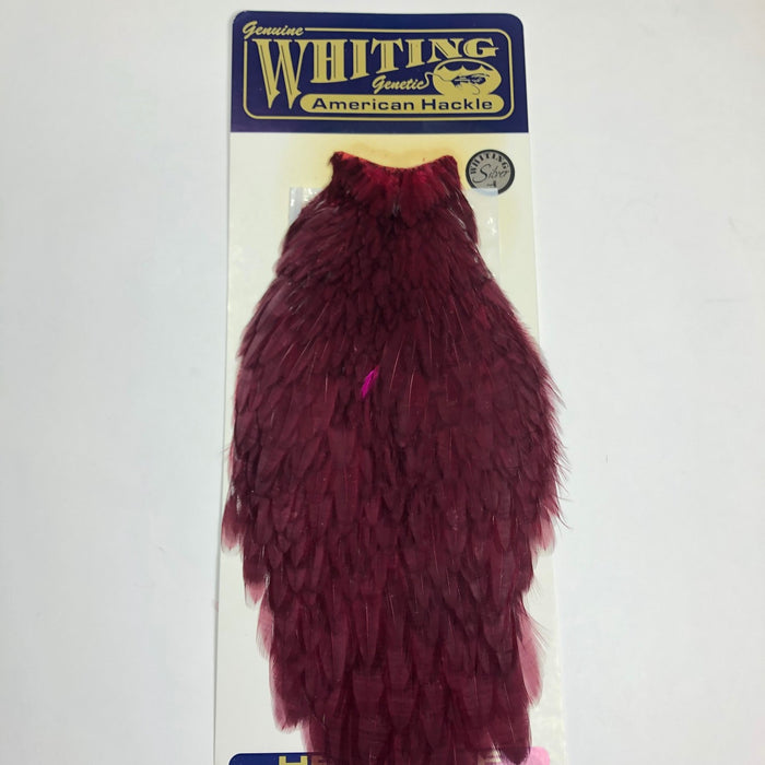 American Hen Cape - OLDER STOCK