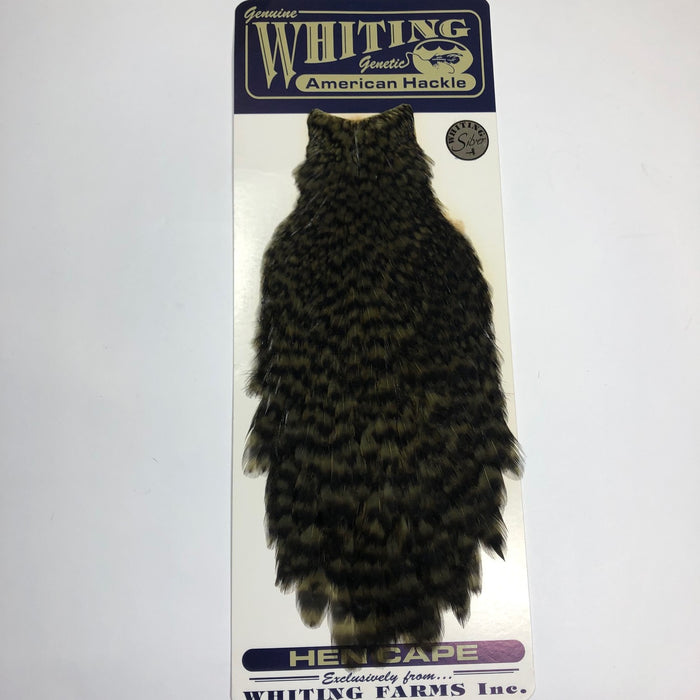 American Hen Cape - OLDER STOCK