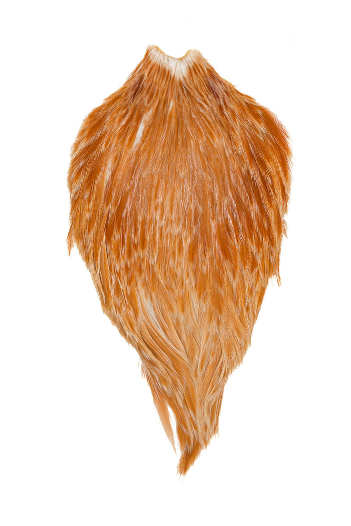 Medium Ginger
