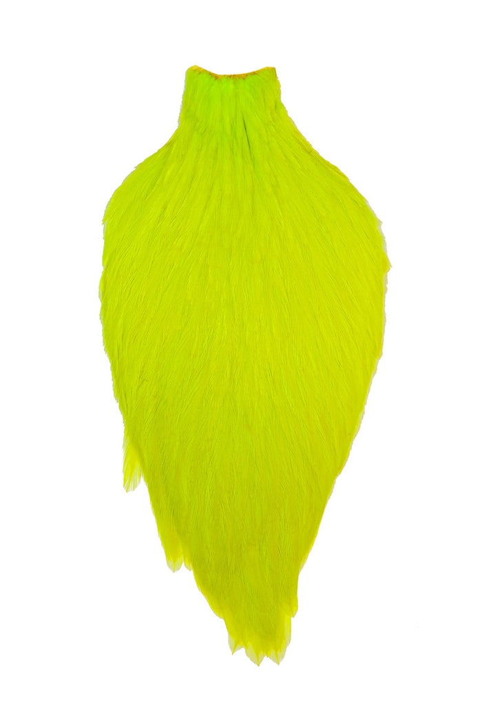 Fl. Yellow Chartreuse
