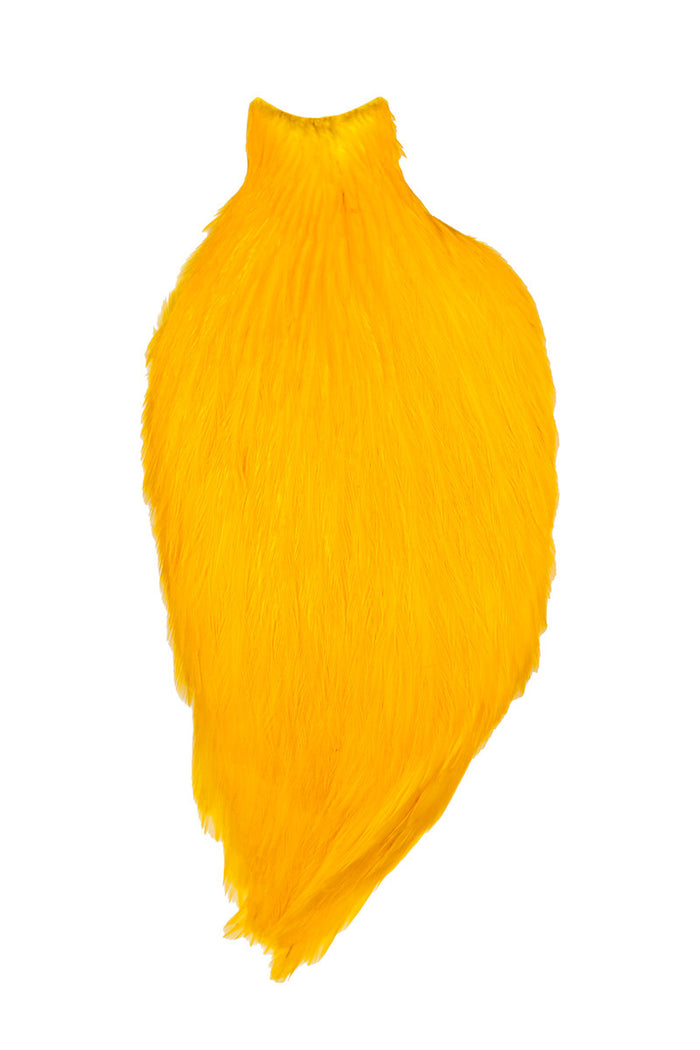 White dyed Yellow
