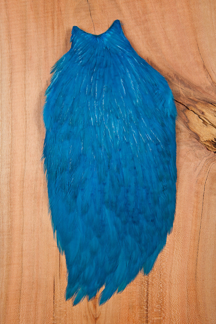 White dyed Kingfisher Blue