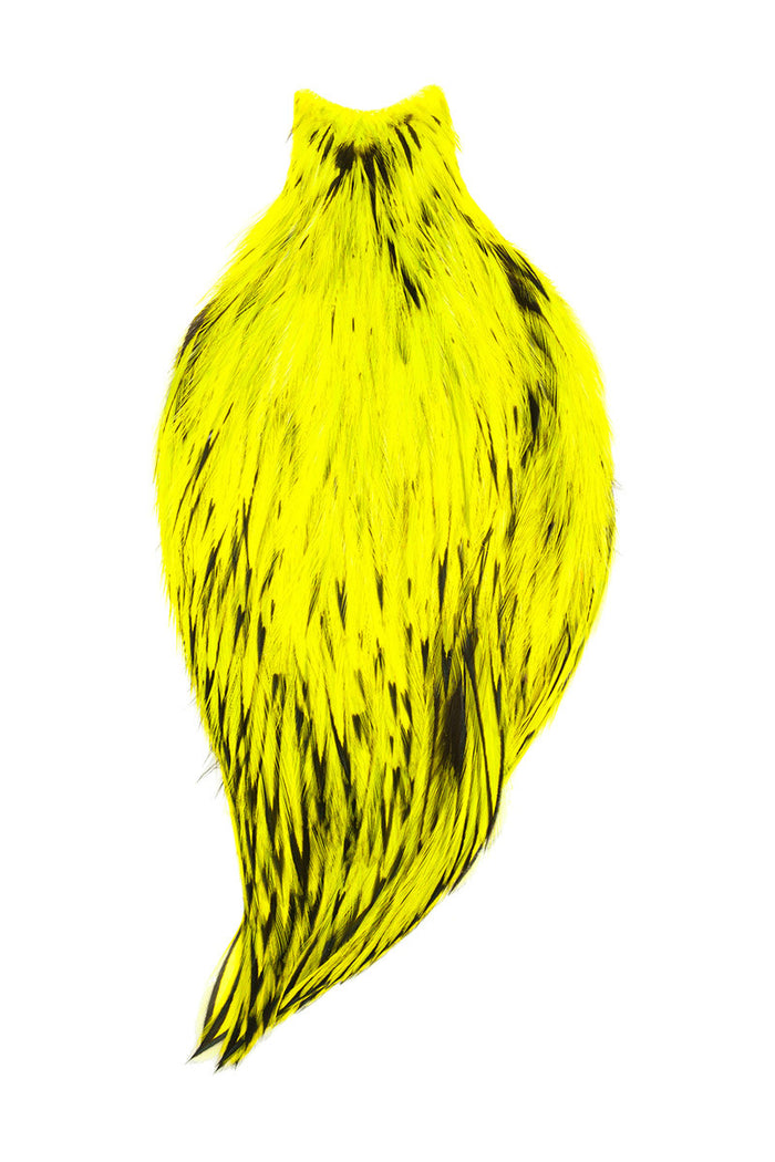 BLW Yellow Chartreuse