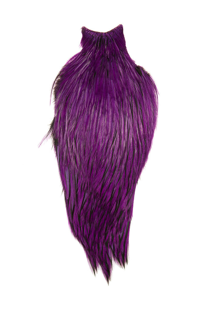 BLW Purple