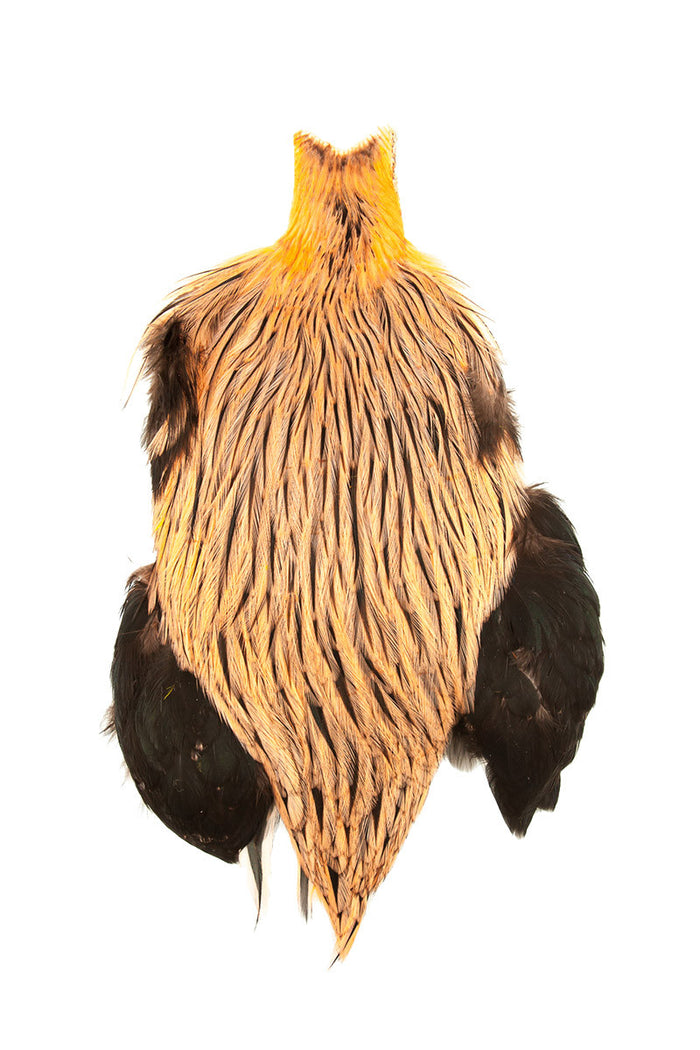Badger Dyed Salmon