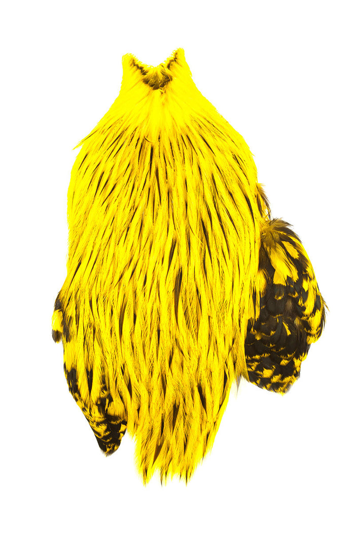 Badger Yellow