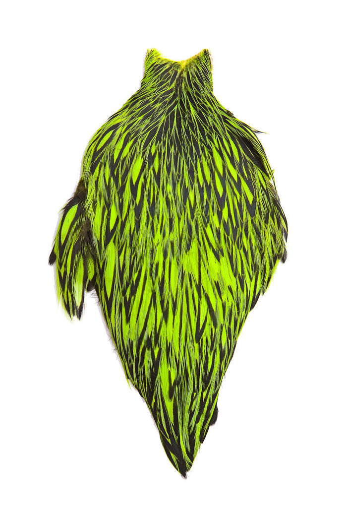 American Rooster Capes by Whiting Farms