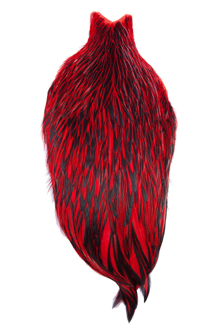 BLW Red