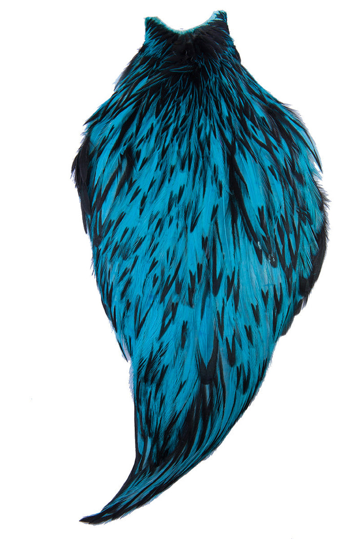 BLW SIlver Dr. Blue