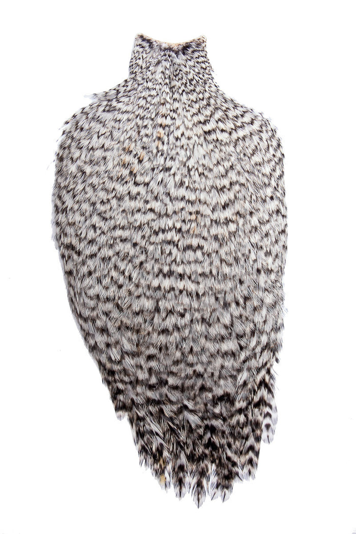 American Rooster Capes by Whiting Farms