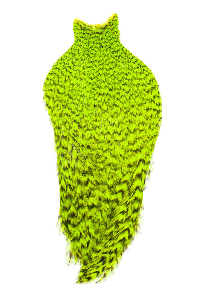 American Rooster Capes by Whiting Farms