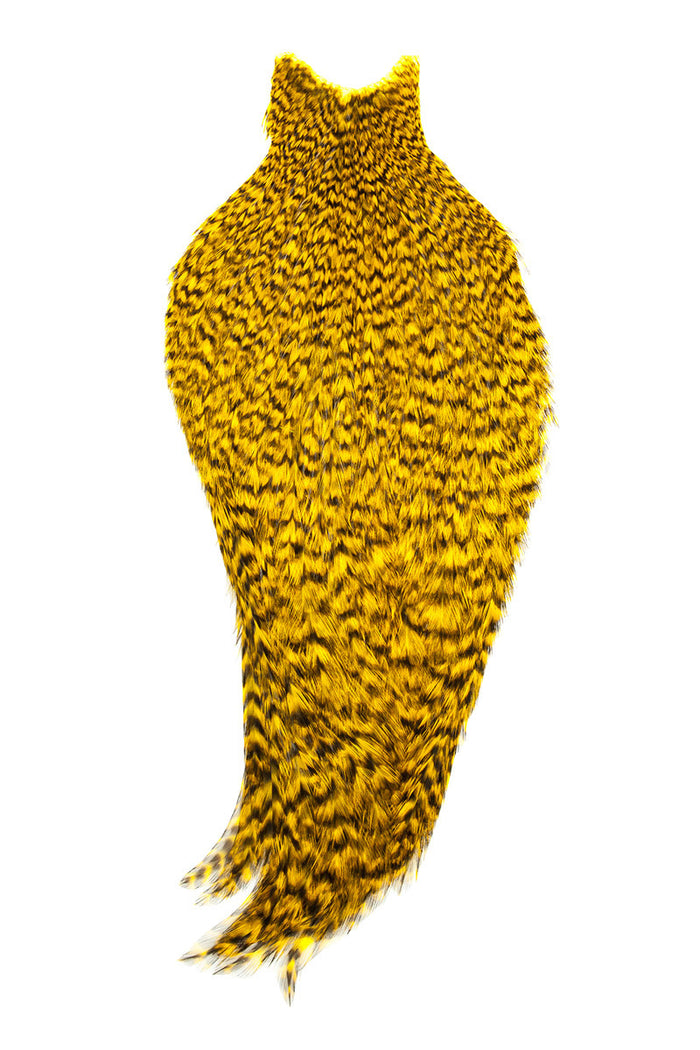 American Rooster Capes by Whiting Farms