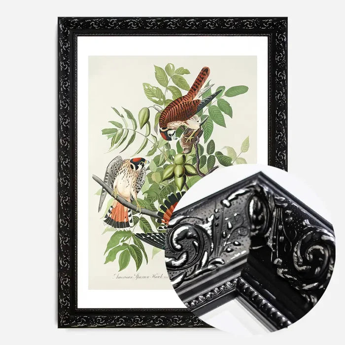 21x30cm | 8¼ x 11¾in / Black Ornate Frame
