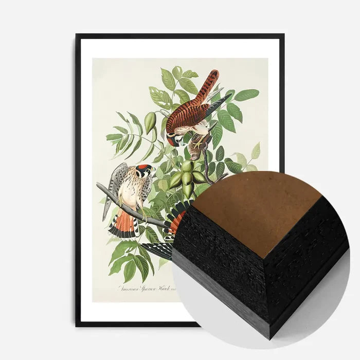 21x30cm | 8¼ x 11¾in / Black Wood Frame