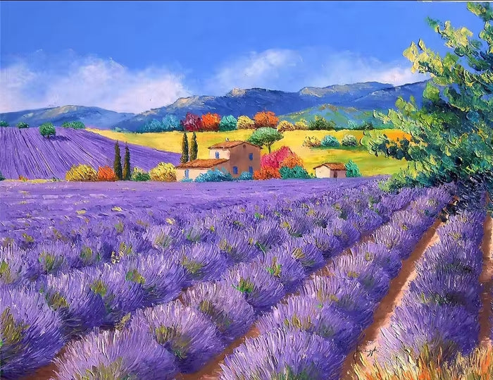 Lavender Field
