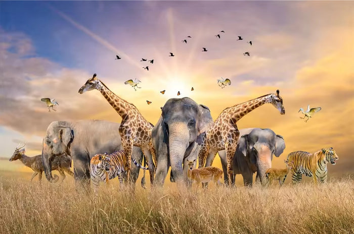 Safari Animals
