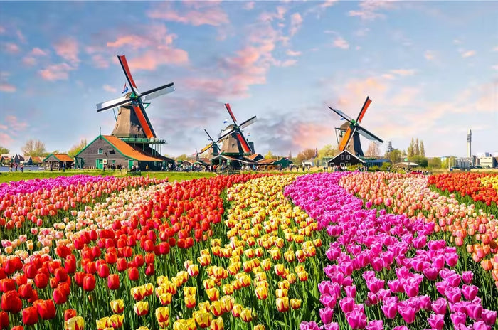 Dutch Windmills