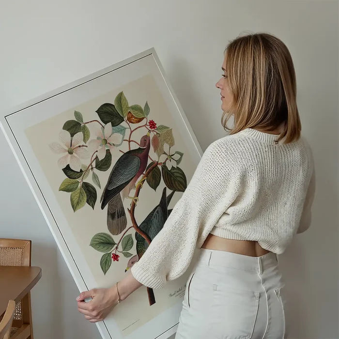 Band Tailed Pigeon Vintage Bird Print held up against a living room wall