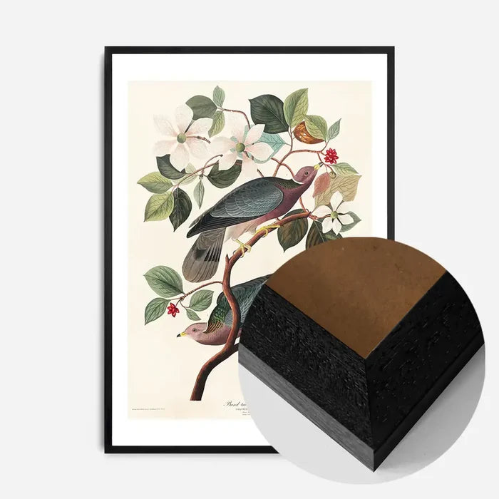 21x30cm | 8¼ x 11¾in / Black Wood Frame