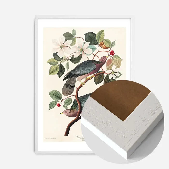 21x30cm | 8¼ x 11¾in / White Wood Frame