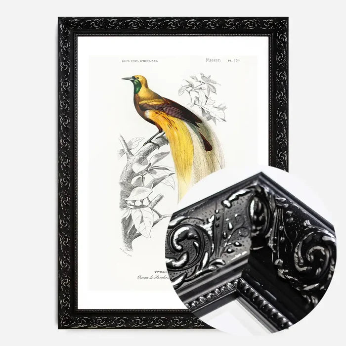 21x30cm | 8¼ x 11¾in / Black Ornate Frame
