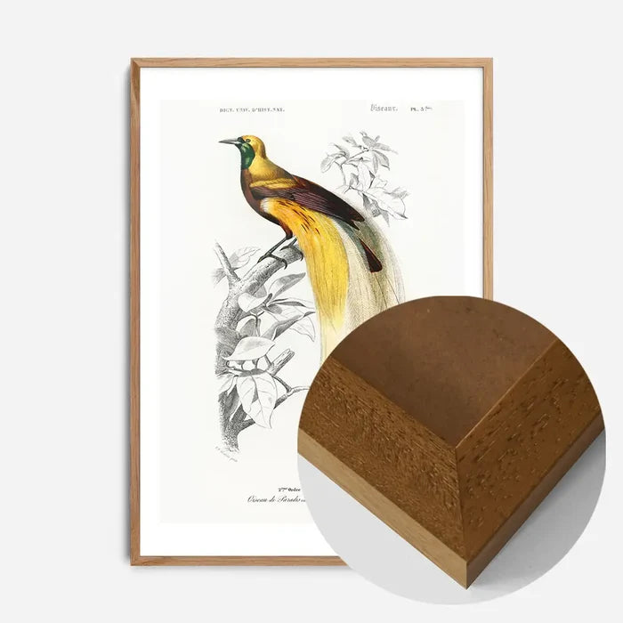 21x30cm | 8¼ x 11¾in / Oak Wood Frame