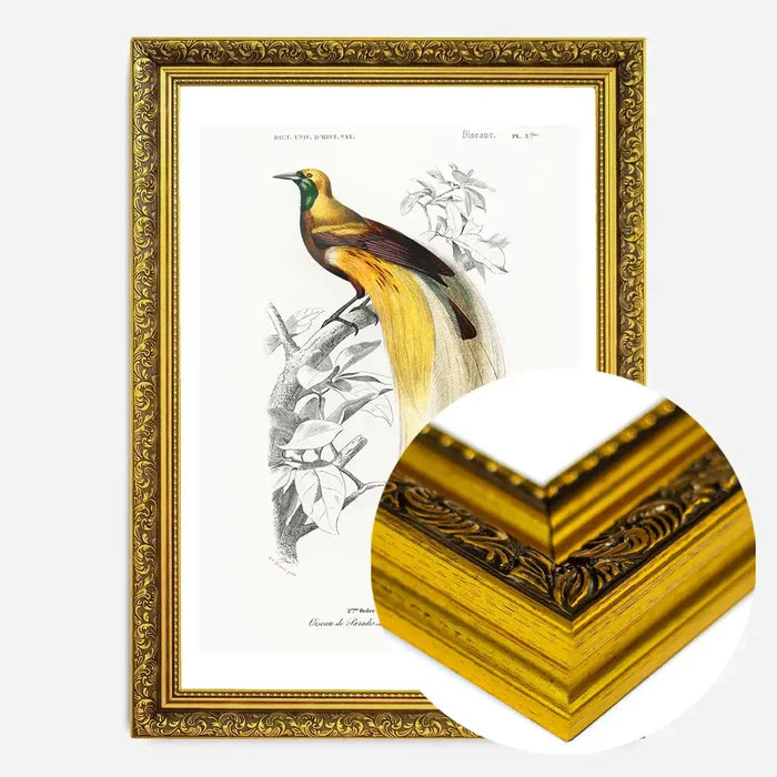 21x30cm | 8¼ x 11¾in / Gold Ornate Frame