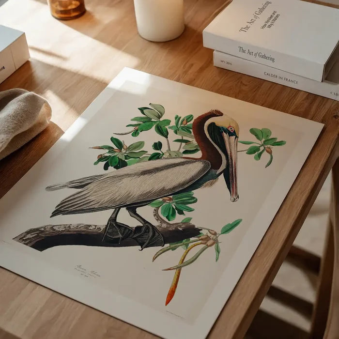 Brown Pelican Vintage Bird Print unframed on a home office desk