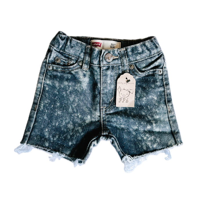 Closed- Loop Levi