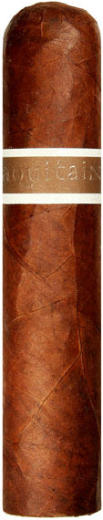 CroMagnon Aquataine Mandible