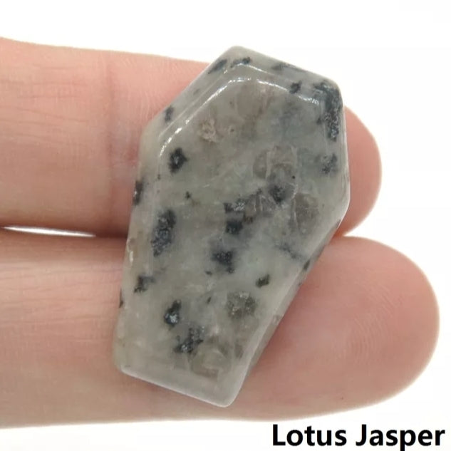 Lotus Jasper