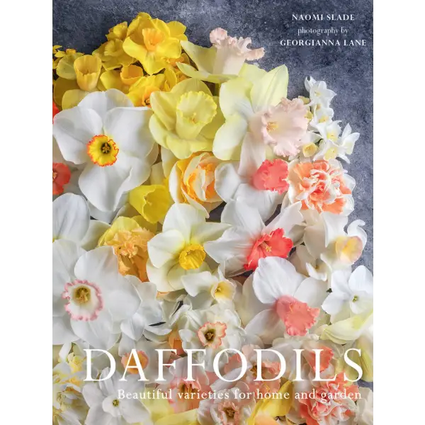 Daffodils: Beautiful Varieties for Home and Garden