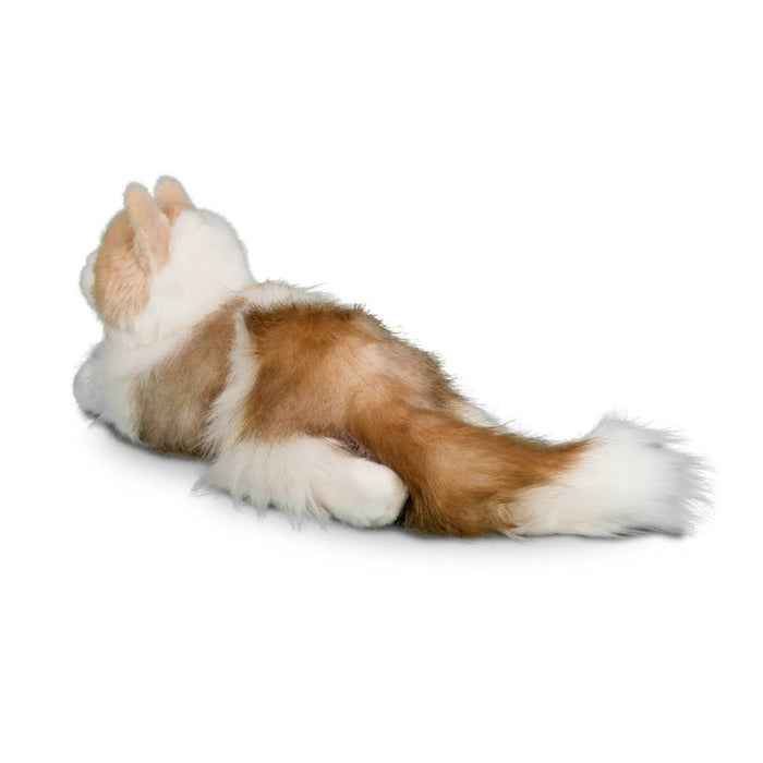 Douglas Cuddle Toys - Ragdoll Cat Kiki Plush Stuffed Plushie 284