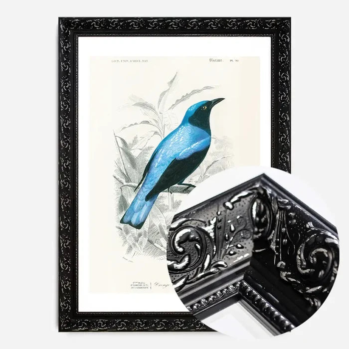 21x30cm | 8¼ x 11¾in / Black Ornate Frame
