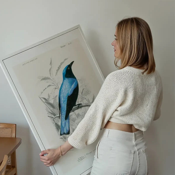 Drongo Vintage Bird Print held up against a living room wall