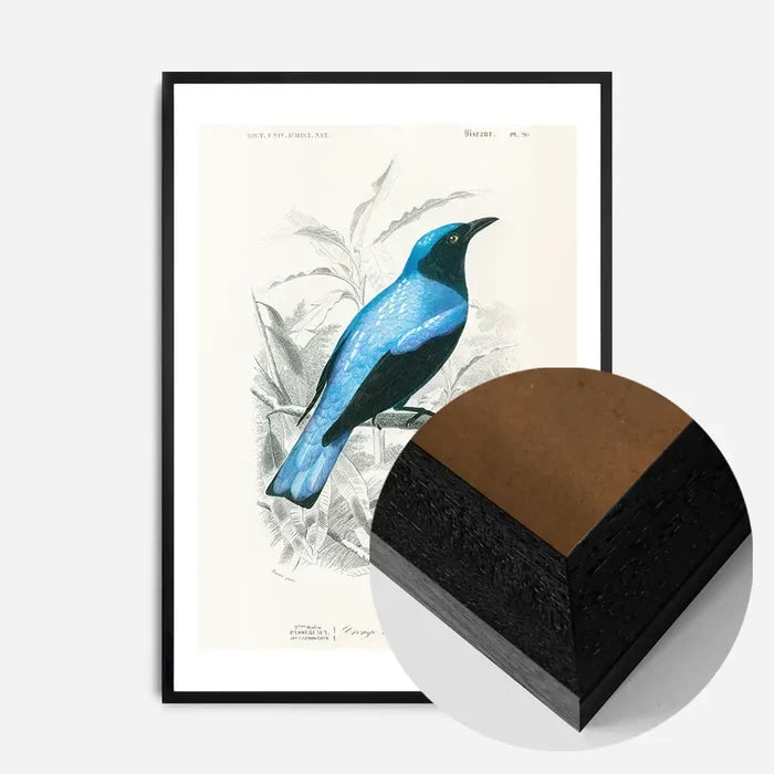 21x30cm | 8¼ x 11¾in / Black Wood Frame