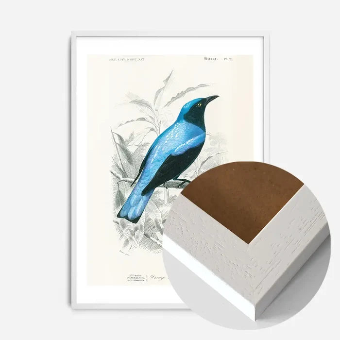 21x30cm | 8¼ x 11¾in / White Wood Frame