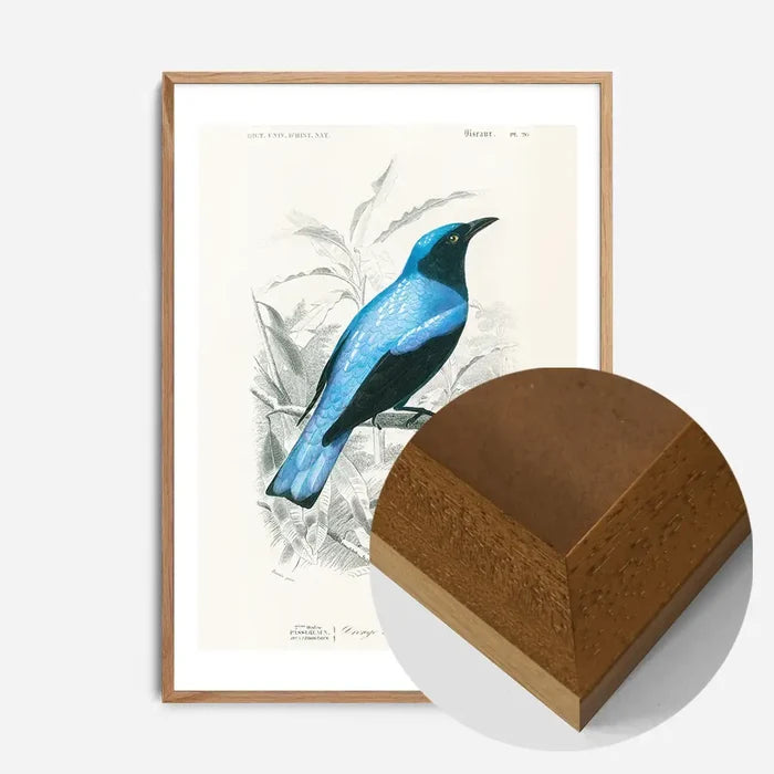 21x30cm | 8¼ x 11¾in / Oak Wood Frame