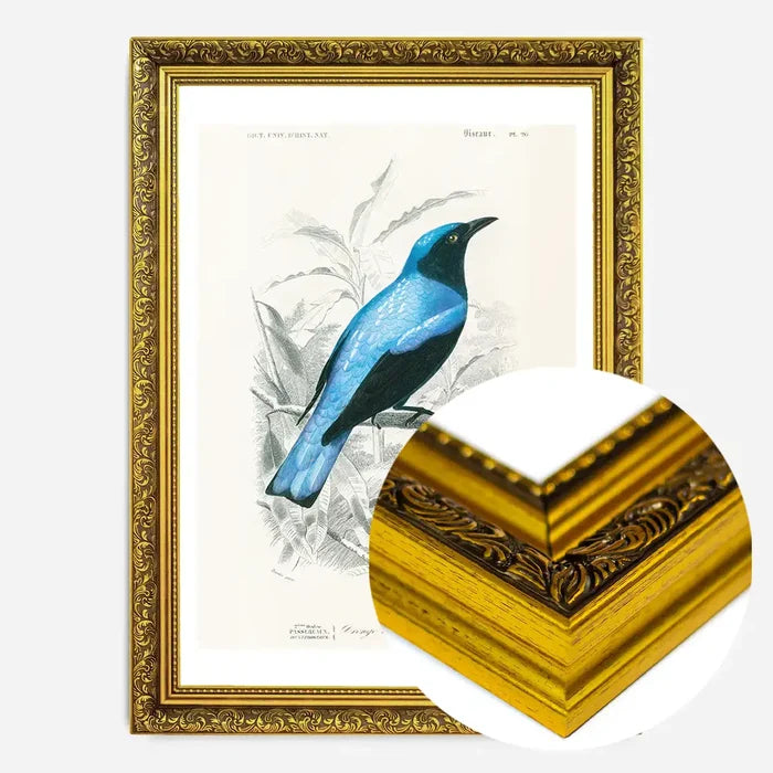 21x30cm | 8¼ x 11¾in / Gold Ornate Frame